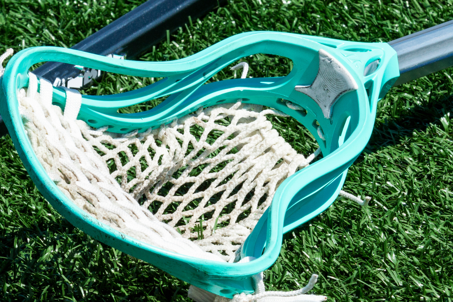 Traditional vs. Wax Mesh: Which Is Right for Your Game?