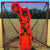 Crankshooter Cage Keeper Inflatable Lacrosse Goalie Dummy Shooting Trainer | SportStop.com | Online Lacrosse Store