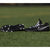 Nike Huarache 9 Varsity Lax Black/White Lacrosse Cleats
