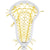 String King Mark 2 Defense Tech Trad Women's Lacrosse Head