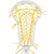 String King Mark 2 Midfield Tech Trad Women's Lacrosse Head
