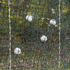 FoldFast WebNet Lacrosse Ball Catching Target Net