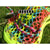 Jimalax Money Mesh Bro Lacrosse Stringing Piece