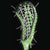 Brine Mantra 2 Glow in the Dark Women's Lacrosse Head