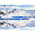 TRUE Comp SF 4.0 Flex 6 SKIER Gloss Composite Attack Lacrosse Shaft