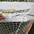 Goal Sports Innovation Lax Dog Lacrosse Ball Returner for Full Size Lacrosse Goals