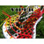 Jimalax Money Mesh Viper Lacrosse Stringing Piece