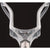 TRUE Key Lacrosse Head